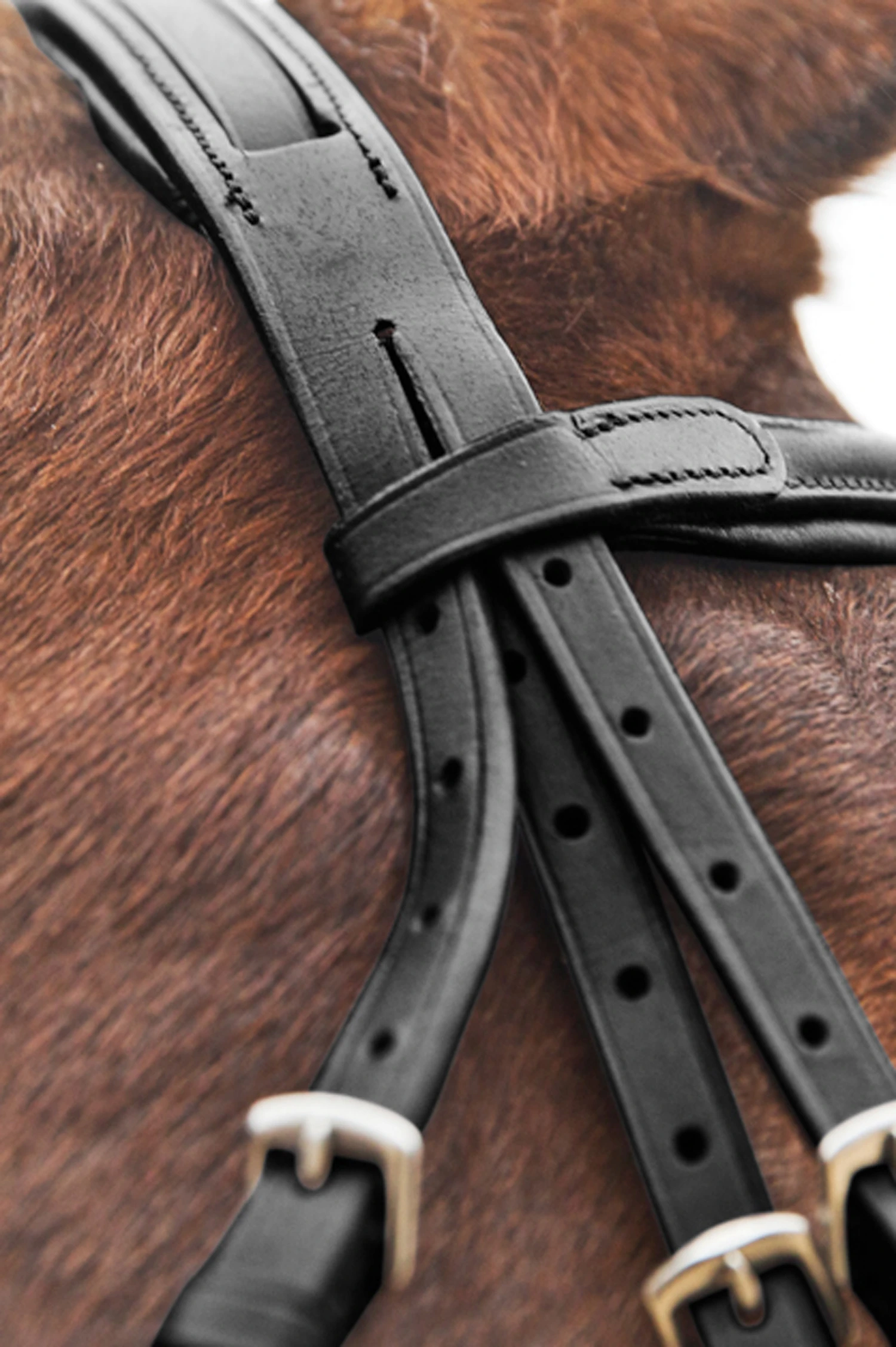 Horze Prescott Mexikanische Trense 6 Horze Prescott Mexikanische Trense – Bild 4