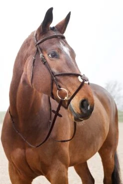 Horze Prescott Mexikanische Trense 18 Horze Prescott Mexikanische Trense -Pferdedecken Store 10012 BR 03