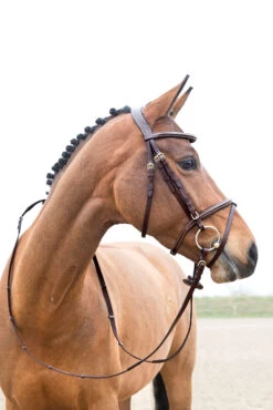 Horze Constance Weich Unterlegte Trense -Pferdedecken Store 10040 LBR 02