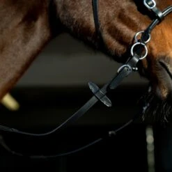 Horze Gebisslose Trense -Pferdedecken Store 10081 BL 6