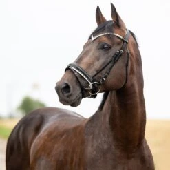 Horze Grayson Anatomische Trense -Pferdedecken Store 10084 BL 1