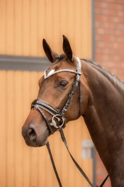 Horze Grayson Anatomische Trense -Pferdedecken Store 10084 BL WH 4