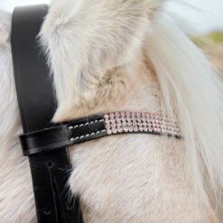 Horze Pony Trense -Pferdedecken Store 10104 BL PI 2