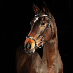 Horze Bergen Remont Trense -Pferdedecken Store 10109 BR 1