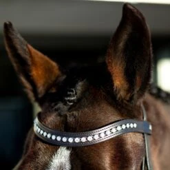 Horze Bergen Remont Trense -Pferdedecken Store 10109 BR 2