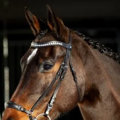 Horze Bergen Remont Trense -Pferdedecken Store 10109 BR 4