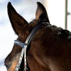 Horze Bergen Remont Trense -Pferdedecken Store 10109 BR 5