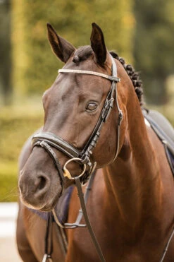 Horze Nancy Stirnriemen Mit Kristallen Und Flechtdetail -Pferdedecken Store 10170 bl rgo 05