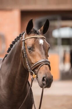 Horze Nancy Stirnriemen Mit Kristallen Und Flechtdetail -Pferdedecken Store 10170 br rgo 04