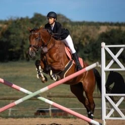 Horze Atlanta Stollenschutz-Sattelgurt Mit Fleecefutter -Pferdedecken Store 14677 DBR 3