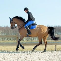 Horze Chooze Vielseitigkeitsschabracke -Pferdedecken Store 17000 LLB 2