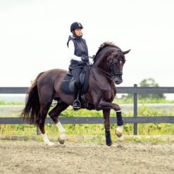 Horze River Dressurschabracke 23 Horze River Dressurschabracke -Pferdedecken Store 17024 BL BL 3