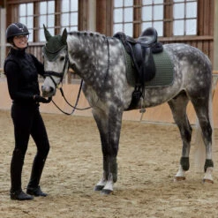 Horze Adepto Vielseitigkeitsschabracke 39 Horze Adepto Vielseitigkeitsschabracke -Pferdedecken Store 17343 BKGR 6