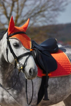 Horze Adepto Vielseitigkeitsschabracke 25 Horze Adepto Vielseitigkeitsschabracke -Pferdedecken Store 17343 cgo 04