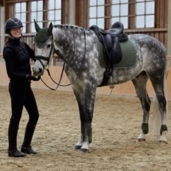 Horze Adepto Dressurschabracke 35 Horze Adepto Dressurschabracke -Pferdedecken Store 17353 BKGR 6