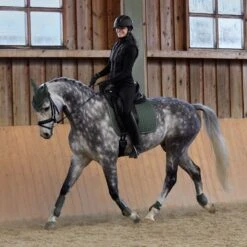 Horze Adepto Dressurschabracke 36 Horze Adepto Dressurschabracke -Pferdedecken Store 17353 BKGR 7