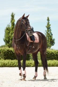 Horze Coventry Dressurschabracke 17 Horze Coventry Dressurschabracke -Pferdedecken Store 17417 CPI 3