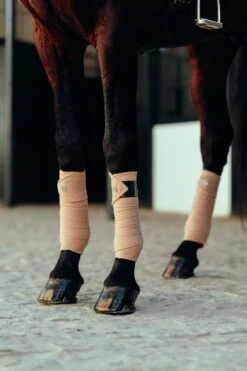 B Vertigo Laurel Fleecebandagen 16 B Vertigo Laurel Fleecebandagen -Pferdedecken Store 18280 TEBR 2