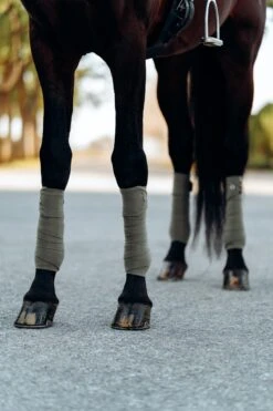 B Vertigo Laurel Fleecebandagen 21 B Vertigo Laurel Fleecebandagen -Pferdedecken Store 18280 WGGR 2