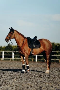 B Vertigo Drew Gamaschen Mit Kunstfellfutter 28 B Vertigo Drew Gamaschen Mit Kunstfellfutter -Pferdedecken Store 19201 BL 7