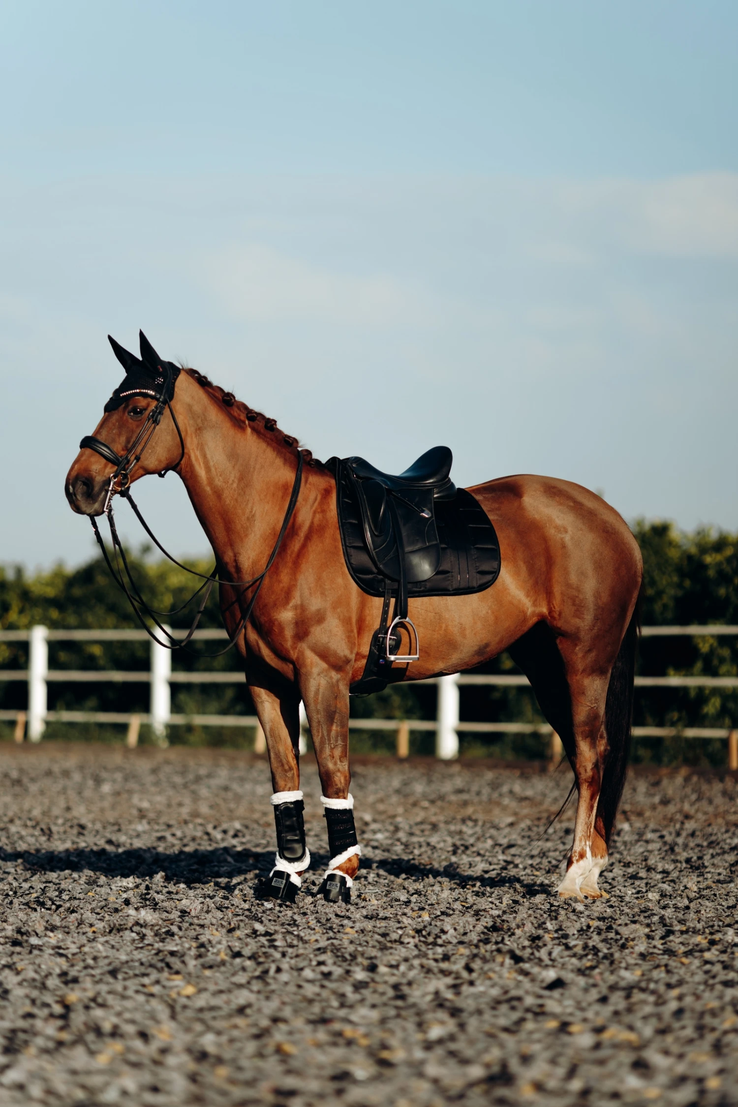 B Vertigo Drew Gamaschen Mit Kunstfellfutter 9 B Vertigo Drew Gamaschen Mit Kunstfellfutter – Bild 7