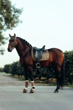 B Vertigo Drew Gamaschen Mit Kunstfellfutter 35 B Vertigo Drew Gamaschen Mit Kunstfellfutter -Pferdedecken Store 19201 UBBR 7