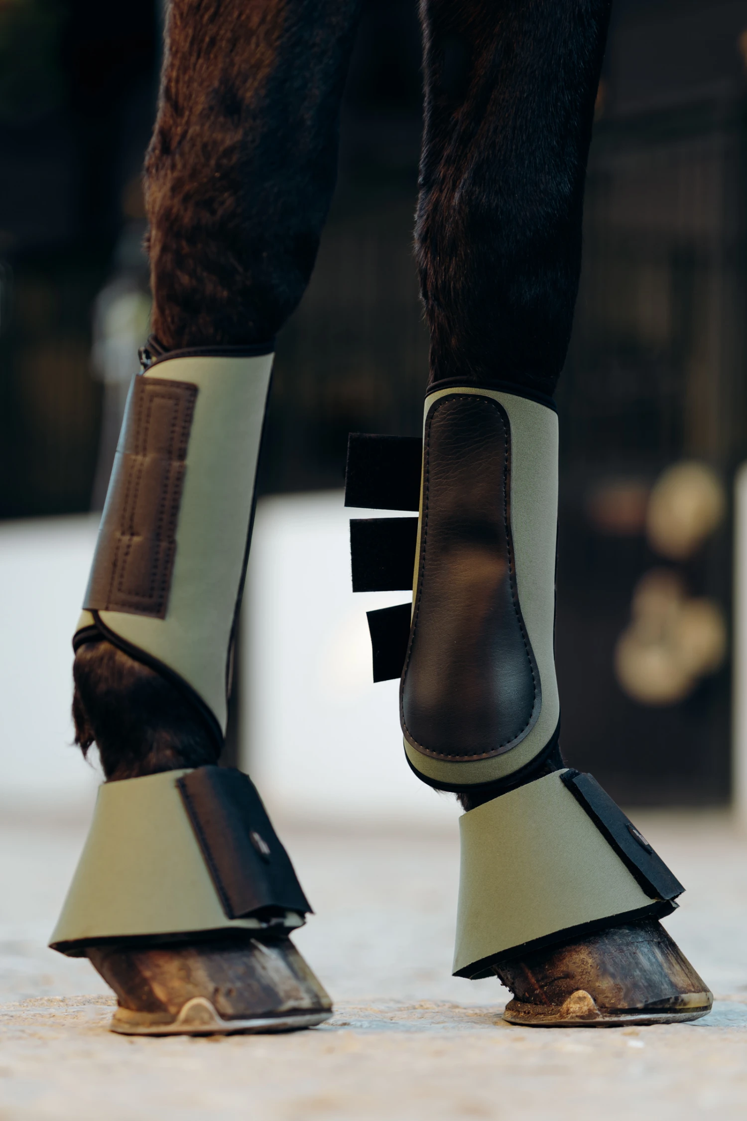 Horze Munich Gamaschen 7 Horze Munich Gamaschen – Bild 5