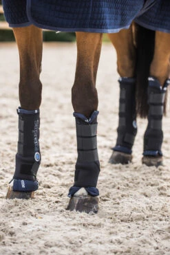 Horze Stallgamaschen Pro, Hinten -Pferdedecken Store 19409 bl 10