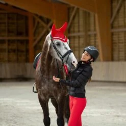 B Vertigo Raxus Fliegenhaube -Pferdedecken Store 22862 LPPI 3