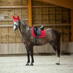 B Vertigo Raxus Fliegenhaube -Pferdedecken Store 22862 LPPI 4