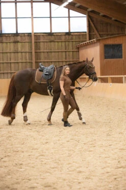 Horze Glarus Fliegenhaube Mit Metallischem Flechtdetail -Pferdedecken Store 22917 bdbr 04
