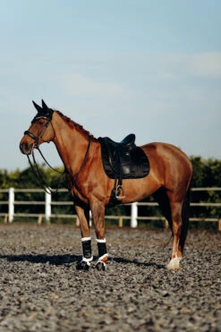 B Vertigo Drew Fliegenhaube -Pferdedecken Store 22931 BL 4