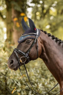 B Vertigo Quinn Fliegenhaube -Pferdedecken Store 22937 VDB 3