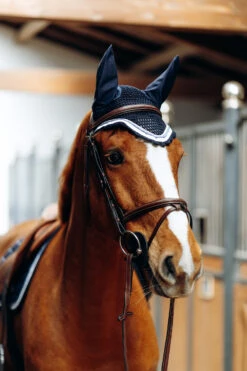 B Vertigo Cameron Fliegenhaube -Pferdedecken Store 22944 VDB 3