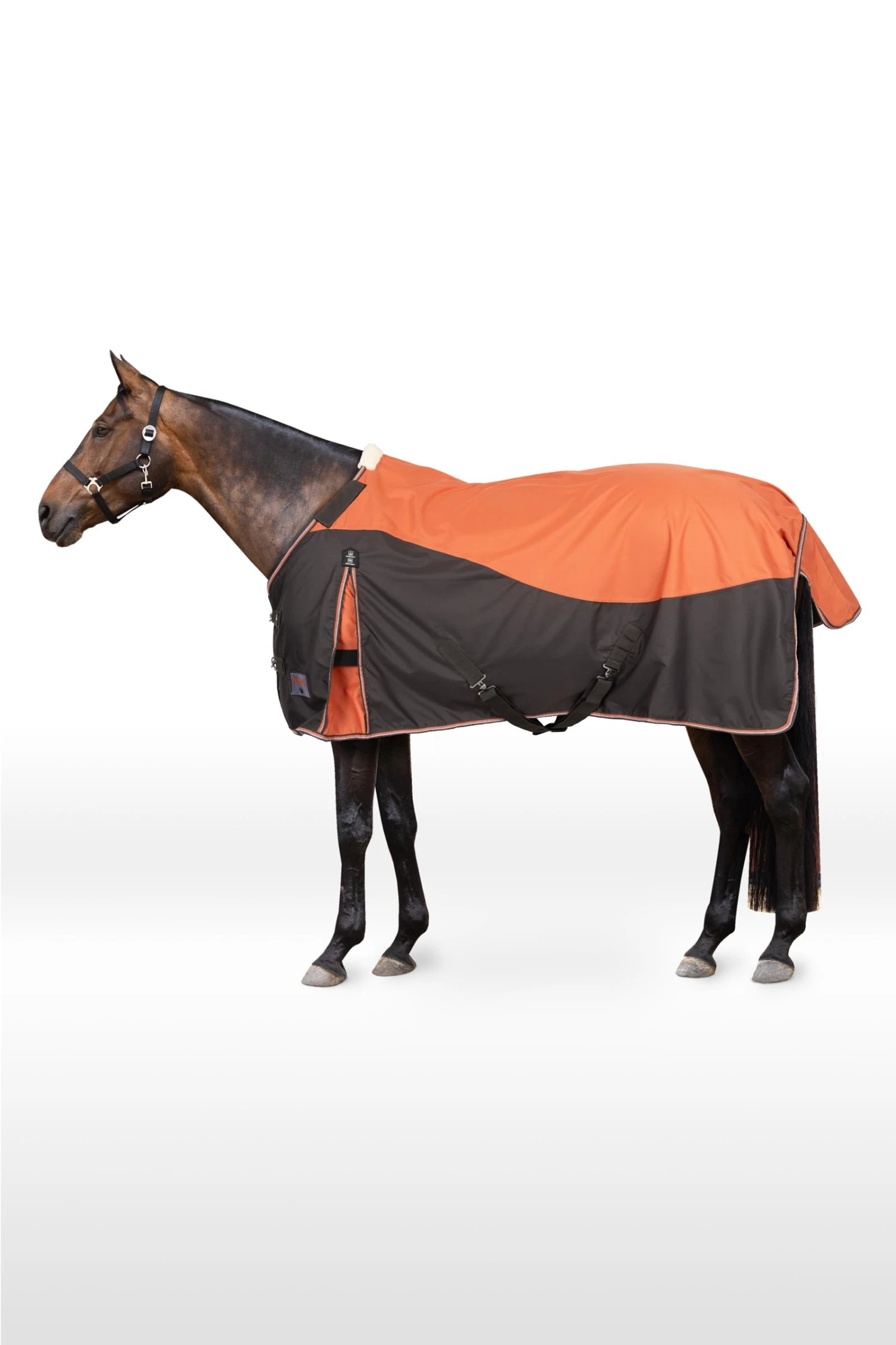 Horze Lucerne Regendecke Mit Fleecefutter 3 Horze Lucerne Regendecke Mit Fleecefutter