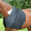 Back On Track Schulterschutz -Pferdedecken Store 24316 BL 1