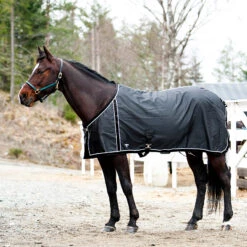 FT Sommerdecke, Enstex -Pferdedecken Store 24370 BL BL 1