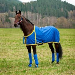 FT Sommerdecke, Enstex -Pferdedecken Store 24370 B YE 1