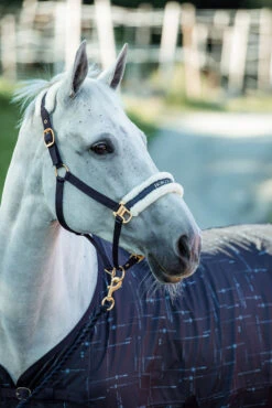 Horze Fairfax UV-Schutz Decke -Pferdedecken Store 24377 vdb 03