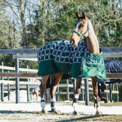 Horze Nevada Winterdecke, 400g 26 Horze Nevada Winterdecke, 400g -Pferdedecken Store 24571 BTGR VDB 2