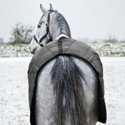 Horze Nevada Stalldecke, 200g -Pferdedecken Store 24572 BL 6