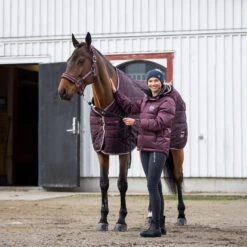 B Vertigo Corey Stalldecke, 250g -Pferdedecken Store 24793 WDRE 1