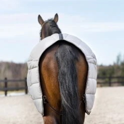 B Vertigo Tim Stalldecke 400g -Pferdedecken Store 24795 SEG BDRE 6