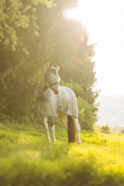 Horze La Pampa Fliegenschutz Set -Pferdedecken Store 24817 g 12