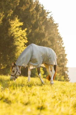 Horze La Pampa Fliegenschutz Set -Pferdedecken Store 24817 g 13