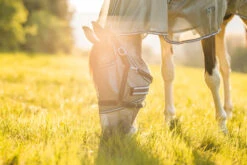 Horze La Pampa Fliegenschutz Set -Pferdedecken Store 24817 g 19