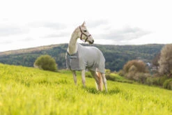 Horze Orleans Fliegendecke -Pferdedecken Store 24835 hrg 10