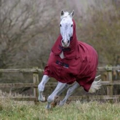 Bucas Freedom Turnout Full Neck Regendecke Mit Festem Halsteil, 0g -Pferdedecken Store 300453 CRE 2