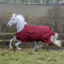 Bucas Freedom Turnout Light Regendecke, 0g 15 Bucas Freedom Turnout Light Regendecke, 0g -Pferdedecken Store 300455 CRE 1