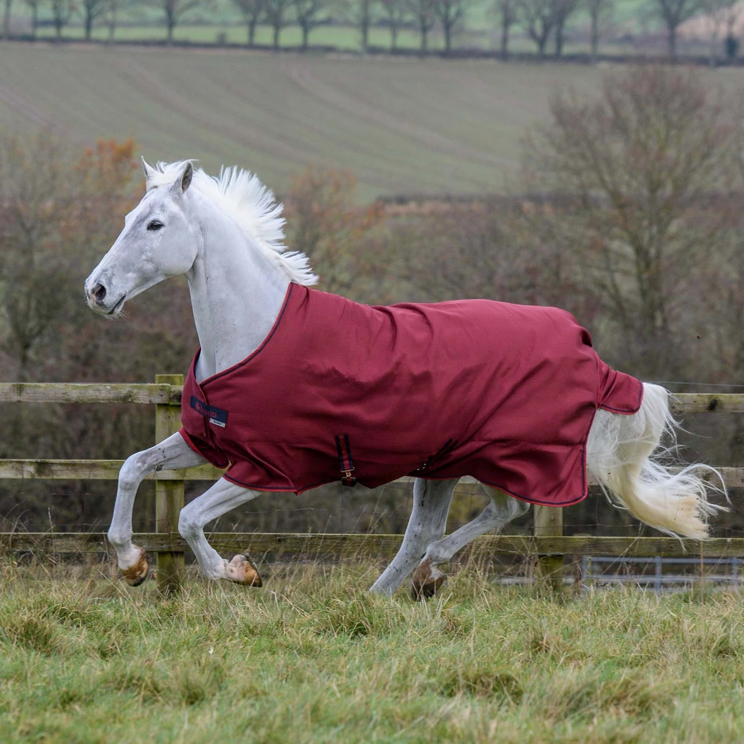 Bucas Freedom Turnout Light Regendecke, 0g 6 Bucas Freedom Turnout Light Regendecke, 0g – Bild 4